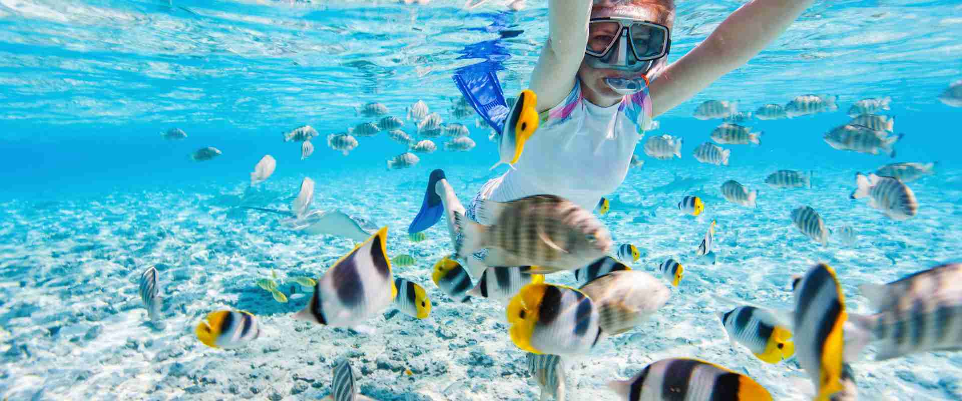 caribbean cruises snorkeling