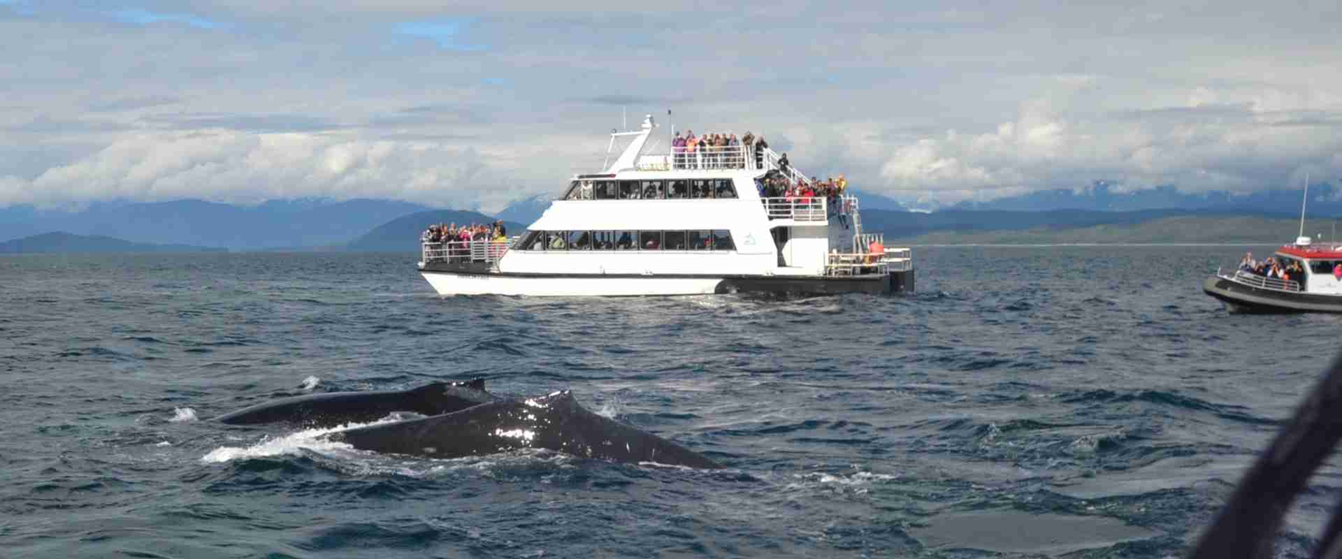 shore excursions in alaska