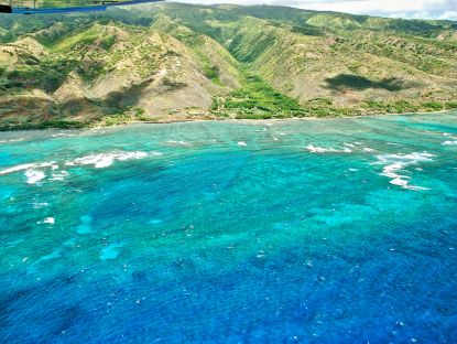 molokai cliff hawaii cruises