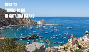 Read more about the article Discover the 10 Best Things to Do in Catalina Island