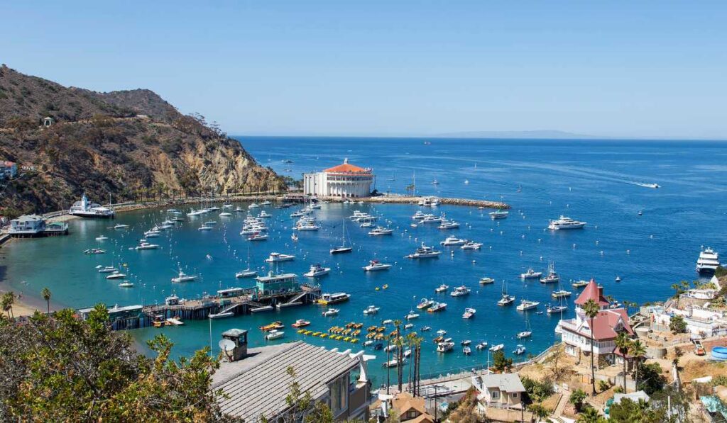 catalina island mexico