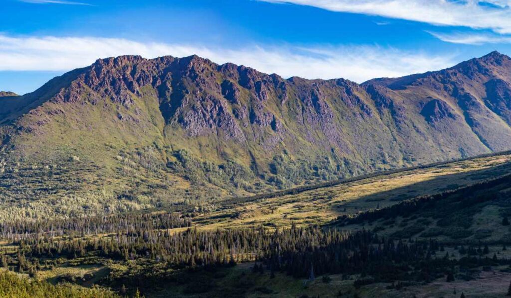 Things to do in anchorage for free - Flattop mountain Alaska