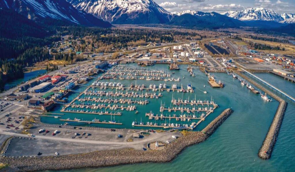 seward harbour - things to do in seward alaska for free